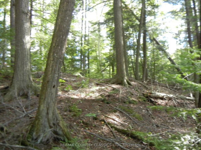 Glen Alda Road, North Kawartha