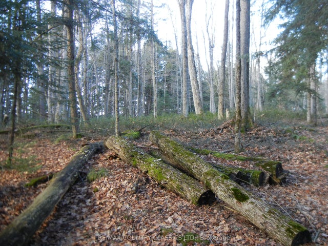 Knox Point Road, North Kawartha