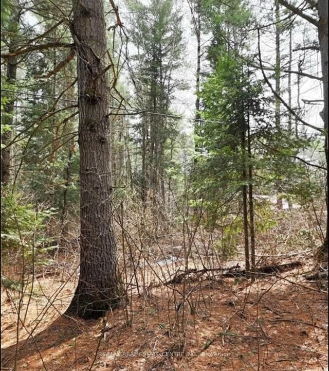 107 Balsam Chutes Road, Huntsville