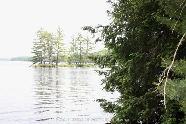 N/a-wao Kasshabog Lake N/a Lot 3, Havelock-Belmont-Methuen