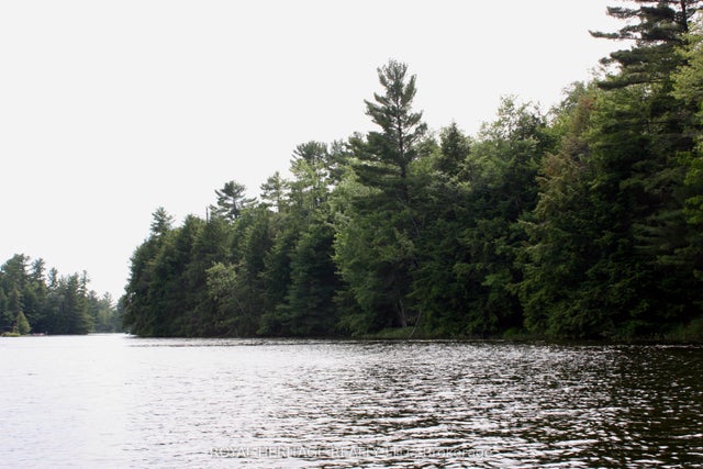 N/a-wao Kasshabog Lake N/a Lot 4, Havelock-Belmont-Methuen