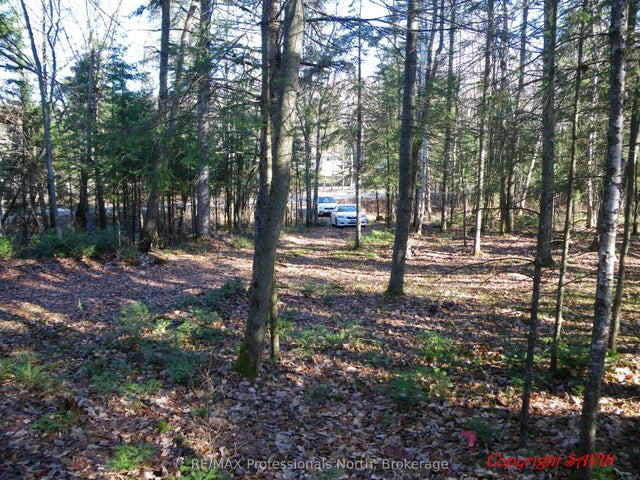 Pcl 20438 & 29803 Upper Walker Lake Rd Road, Lake of Bays