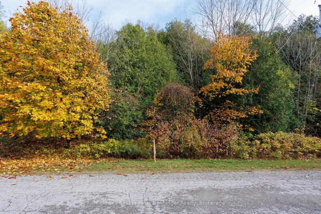Lt 17 Pl 594 Courtney Court S, Ashfield-Colborne-Wawanosh