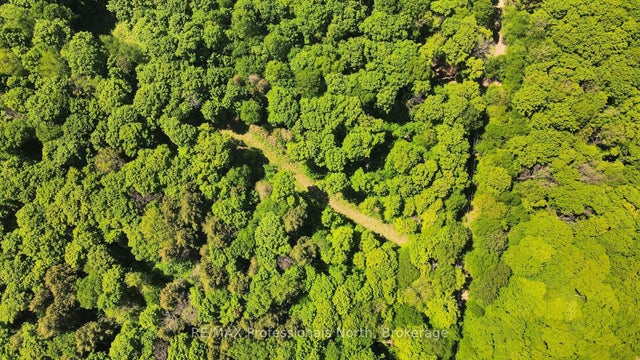 Lot 166 Glen Lake Court, Dysart et al