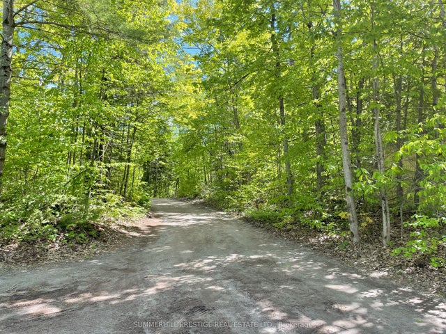 * Mcnevan Drive, Kawartha Lakes