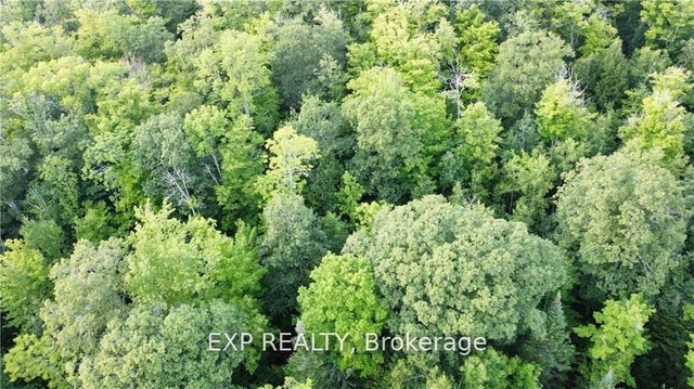 Lot A Chippawa Road, Madawaska Valley