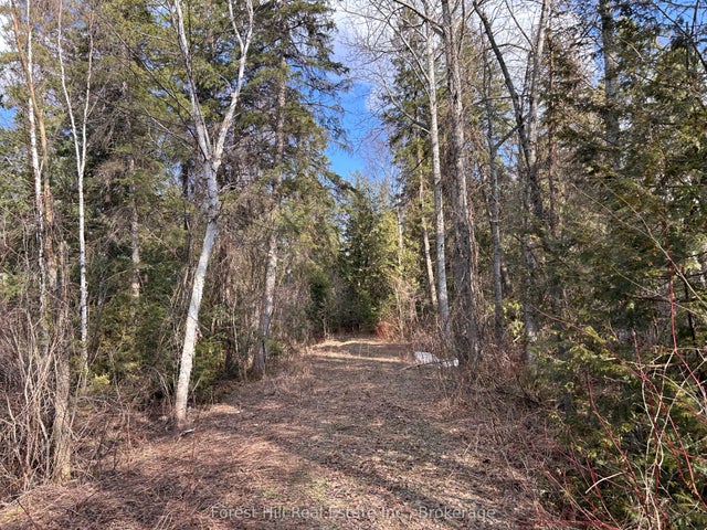 Ptlt133 Conc1 N/a, Grey Highlands