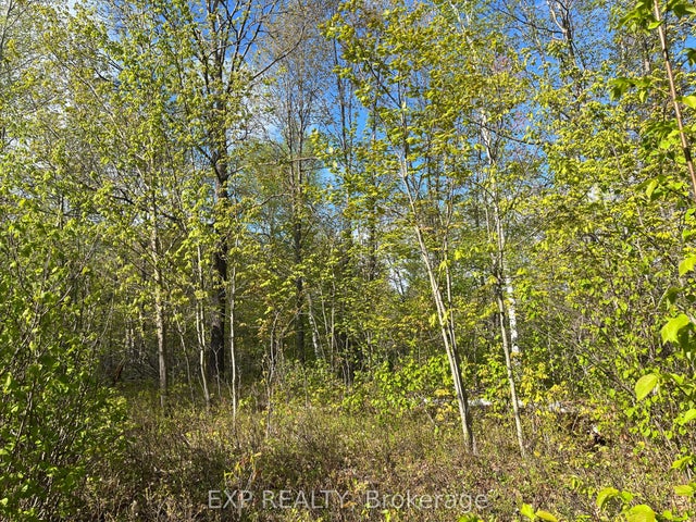 Lot 6 Casson Trail, Madawaska Valley