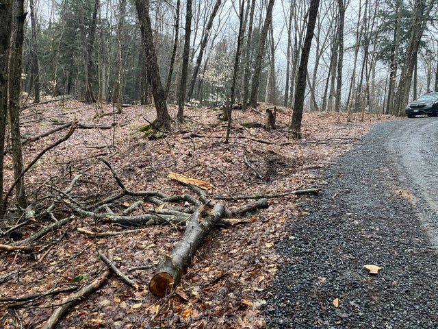 Lot 90 Lookout Point Road, Huntsville