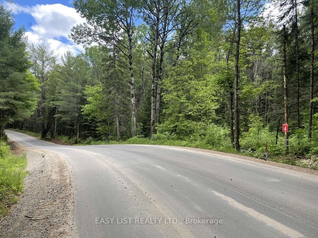 Dwight Beach Road, Lake of Bays