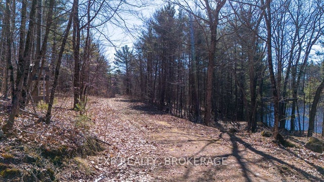 00 Turkey Lane, North Frontenac