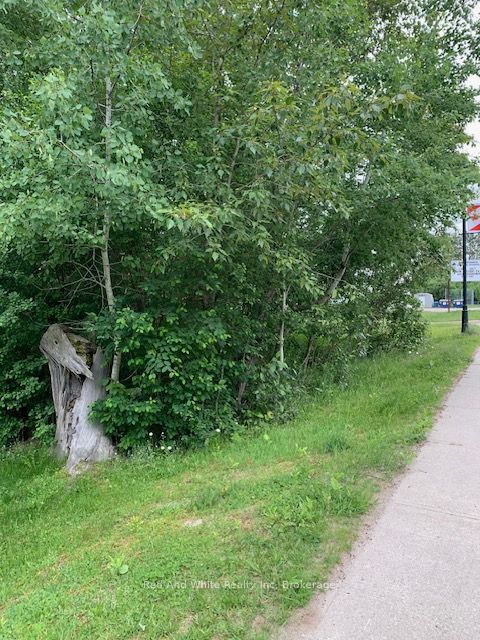 South Sparks Street, Magnetawan
