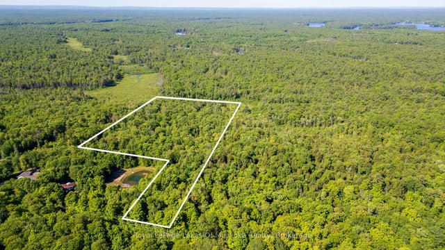 1061 South Muldrew Lake Road, Gravenhurst