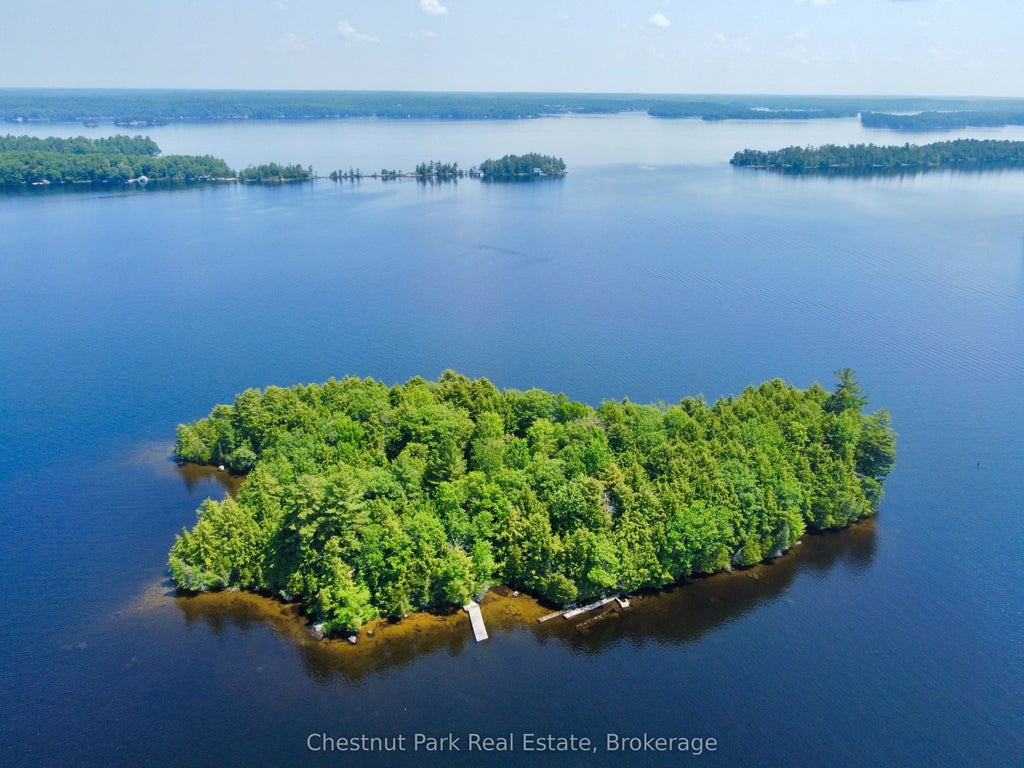 1 Cedar Island N/a, Muskoka Lakes