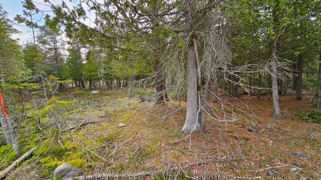 Lt 255 Pedwell Pt. Drive, Northern Bruce Peninsula
