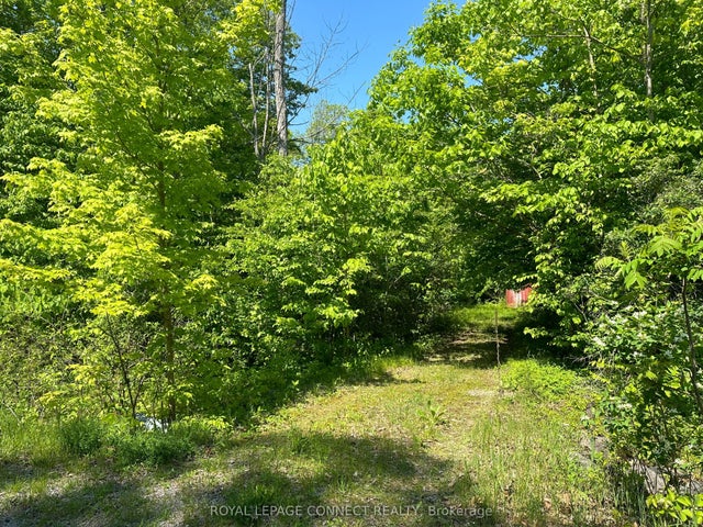 21 Riverside Drive, Trent Hills