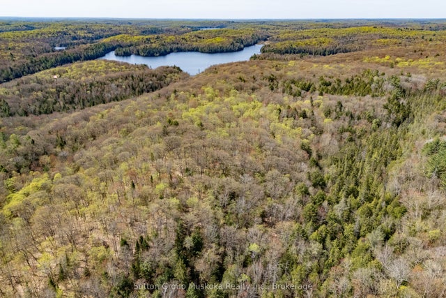 1667 Paint Lake Road, Lake of Bays