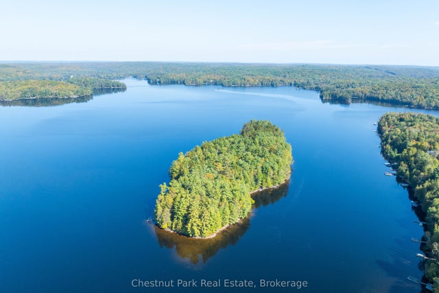 10000 Soyers - Brown Island N/a, Minden Hills