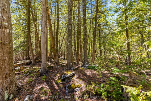 Pt Farm Lot 4 Chi Sin Tib Dek Road, Northern Bruce Peninsula