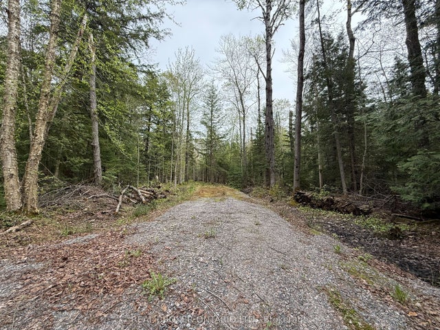 Bear Cave Road, Muskoka Lakes