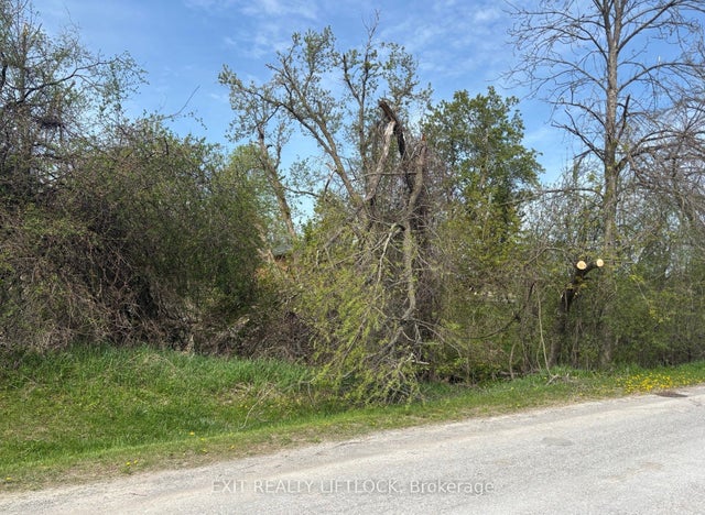 Maple Ridge Drive, Kawartha Lakes