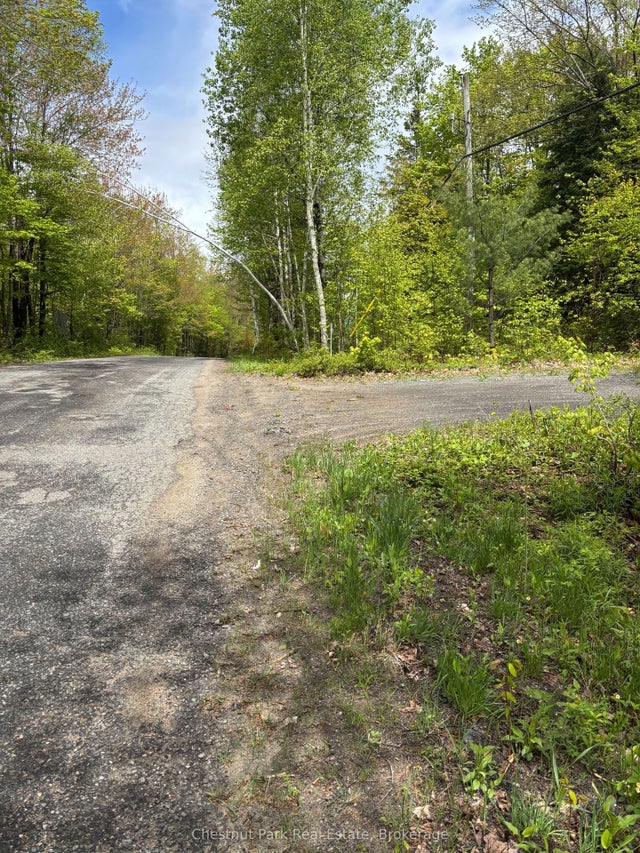 1498 Lone Pine Drive, Bracebridge