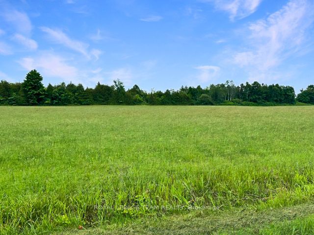 7205 Malakoff Road, Manotick - Kars - Rideau Twp and Area