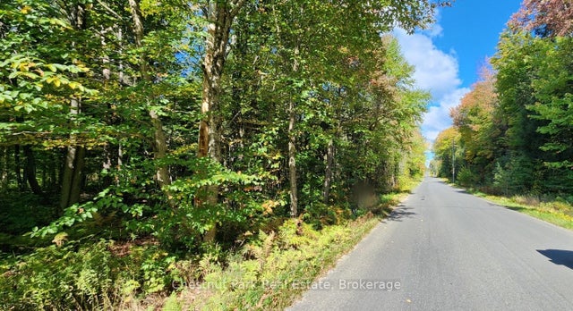 Skyline Drive, Armour