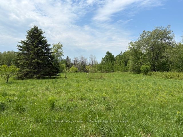 351 Ravenscliffe Road, Huntsville