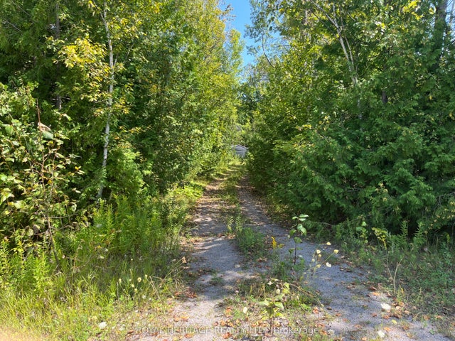 Sumcot Drive, Trent Lakes