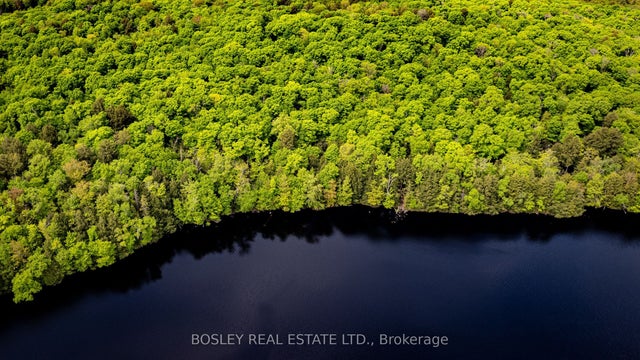 1310 Camel Lake Road Unit 13 Lot 6, Muskoka Lakes