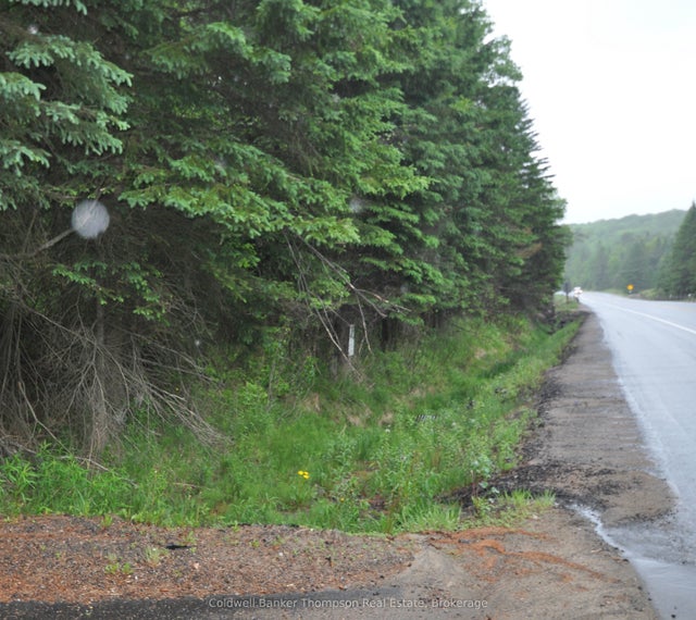 2818 Highway 60 Highway, Lake of Bays