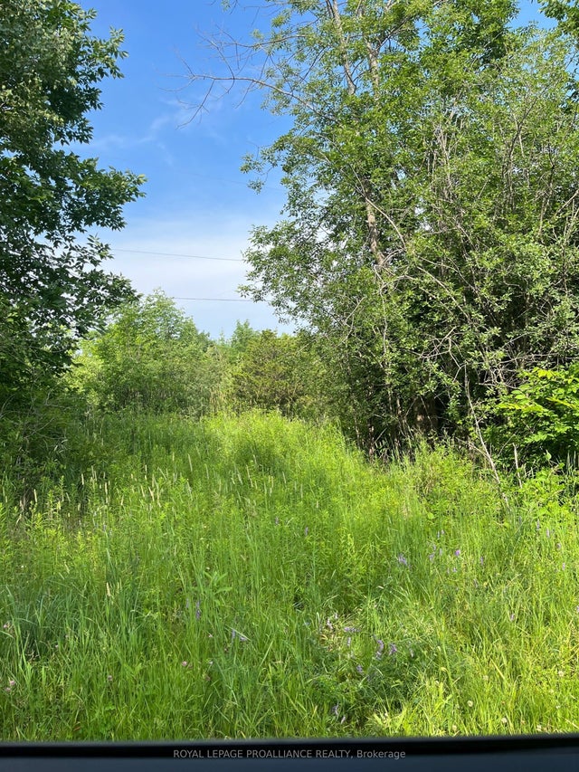 Ptlt14 Con 3 N/a, Rideau Lakes