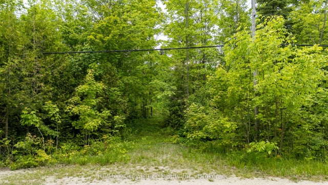 Parkside Avenue, South Bruce Peninsula