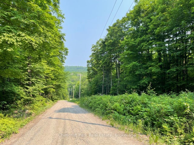 Coleman Lake Road, Dysart et al