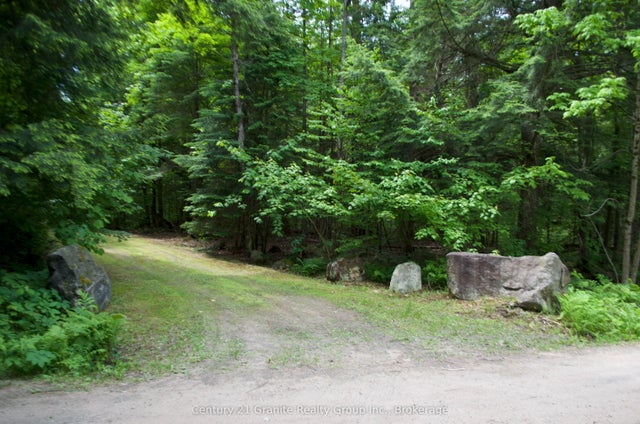 Lot 10 Loon Lake Road S, Dysart et al