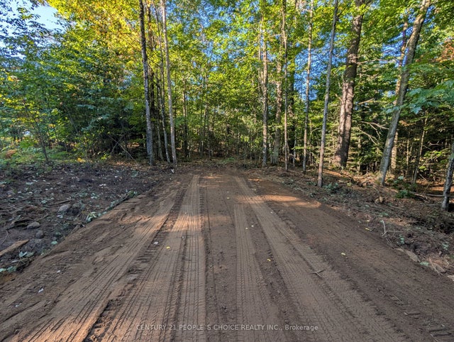 1055 Porkys Road, Minden Hills