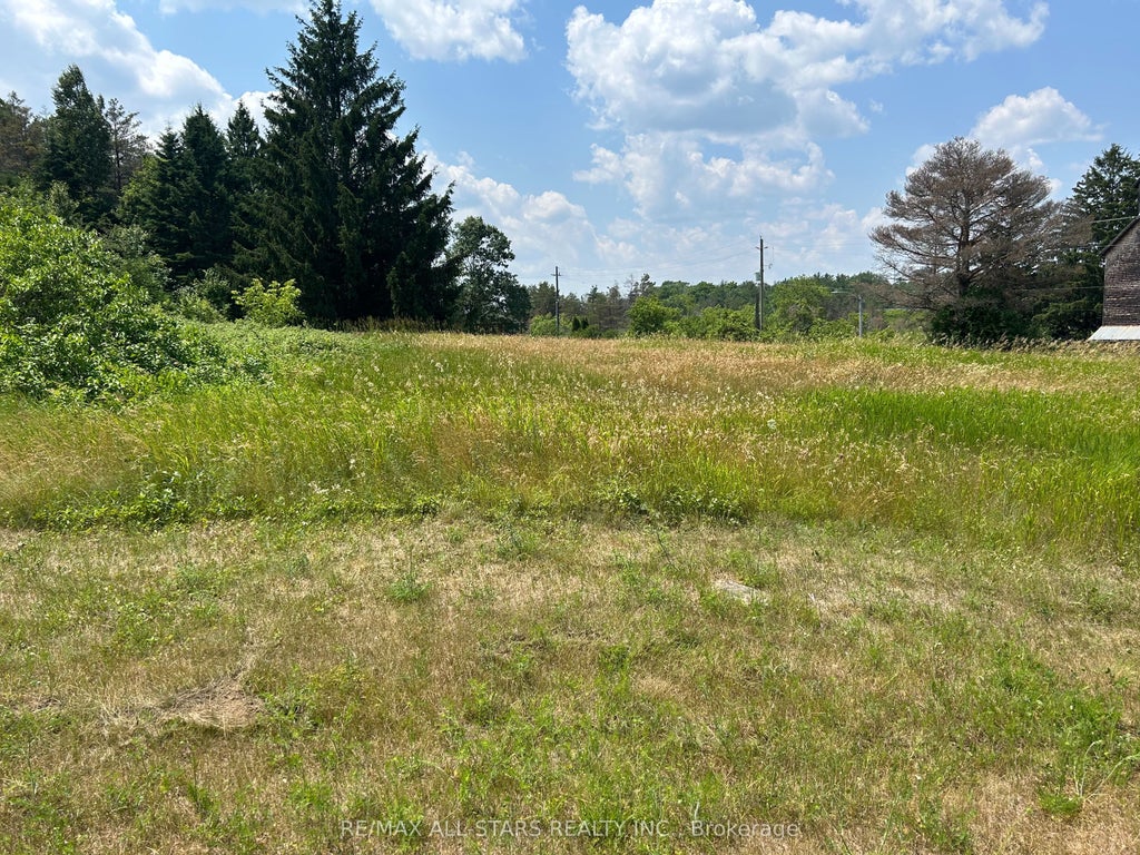 2,4,6 Thomas Street, Kawartha Lakes