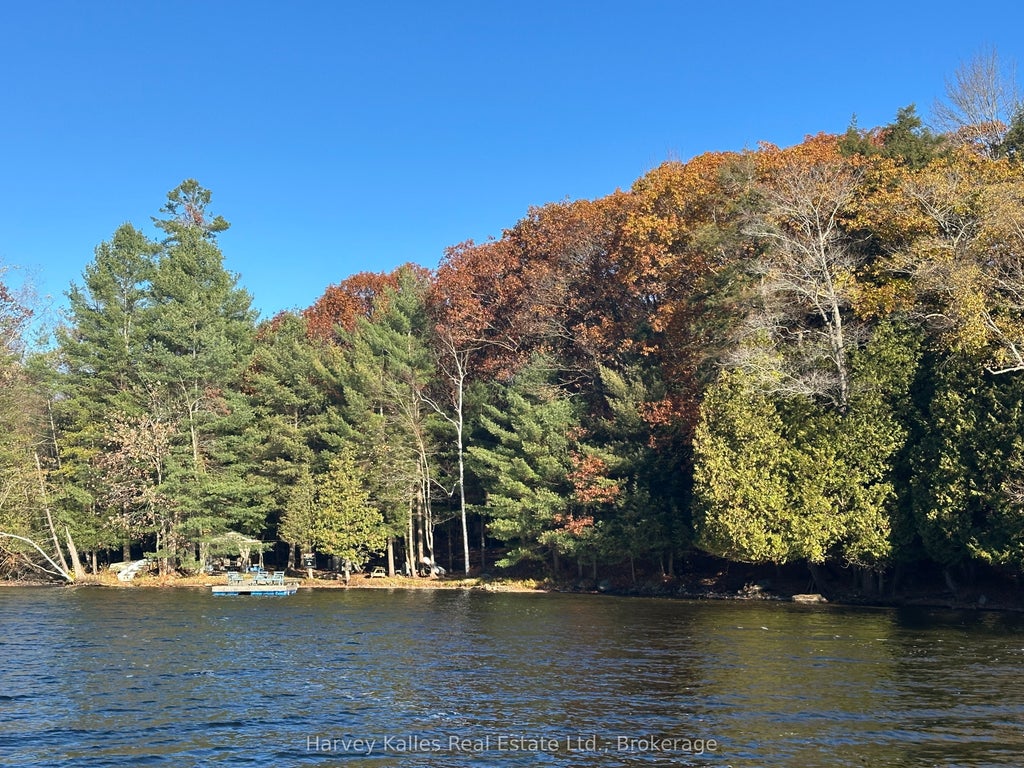 1254 Barlochan Road 4, Muskoka Lakes