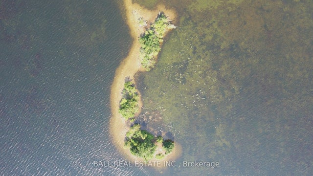 Pt Lt 1 Con 5 Island, Kawartha Lakes