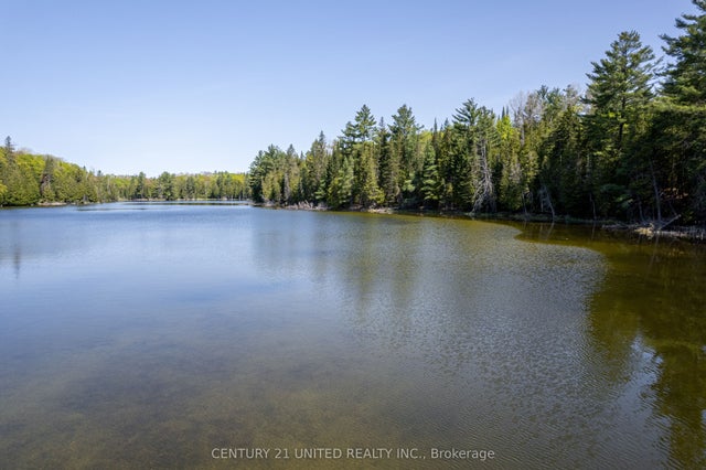 Johnson Road, North Kawartha