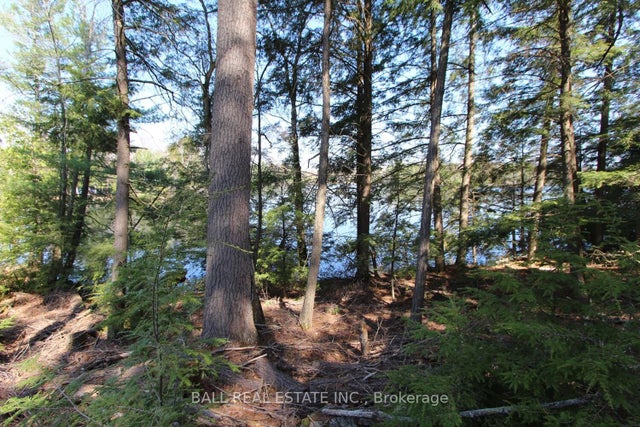 Pt2&3 Fire Route 223 N/a, Trent Lakes
