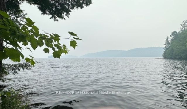 1167 Leon's Lane, Dysart et al