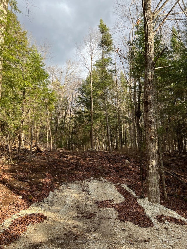 Lot 27 Bushwolf Lake Road, Dysart et al