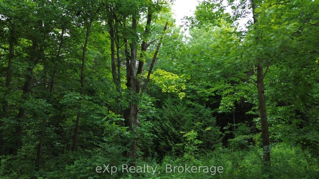 720227 Sideroad 20 Side Road, Chatsworth