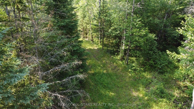 Penzance Trail, Highlands East