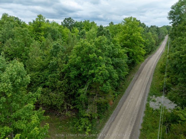 Pt Lt 14 Henderson Road, Greater Napanee