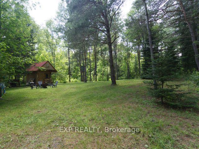 954 Rodeo Road, Strong
