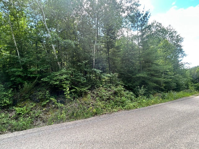 Trebbien Road, Bonnechere Valley