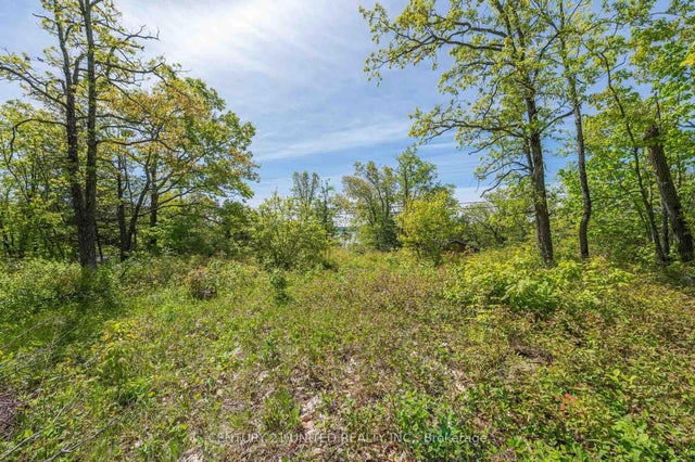 Northeys Bay Road, North Kawartha